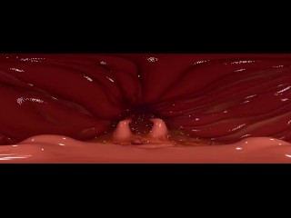 A Quick Snack VR Extended Digestion